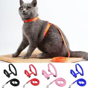 Adjustable Cat Harness & Leash Set