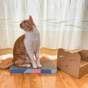 Cat Scratch Board with Catnip Treat