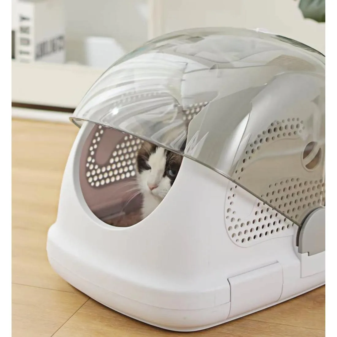 Cat carrier cage price in Nairobi Kenya 010