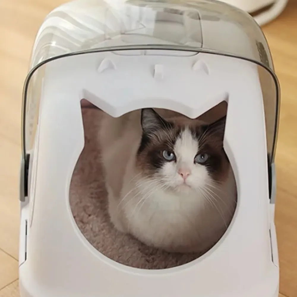 Cat carrier cage price in Nairobi Kenya 014