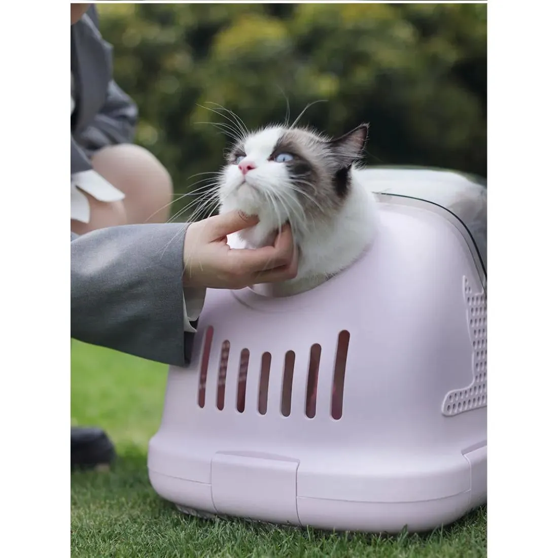 Cat carrier cage price in Nairobi Kenya 07