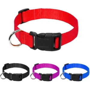 Dog Collars