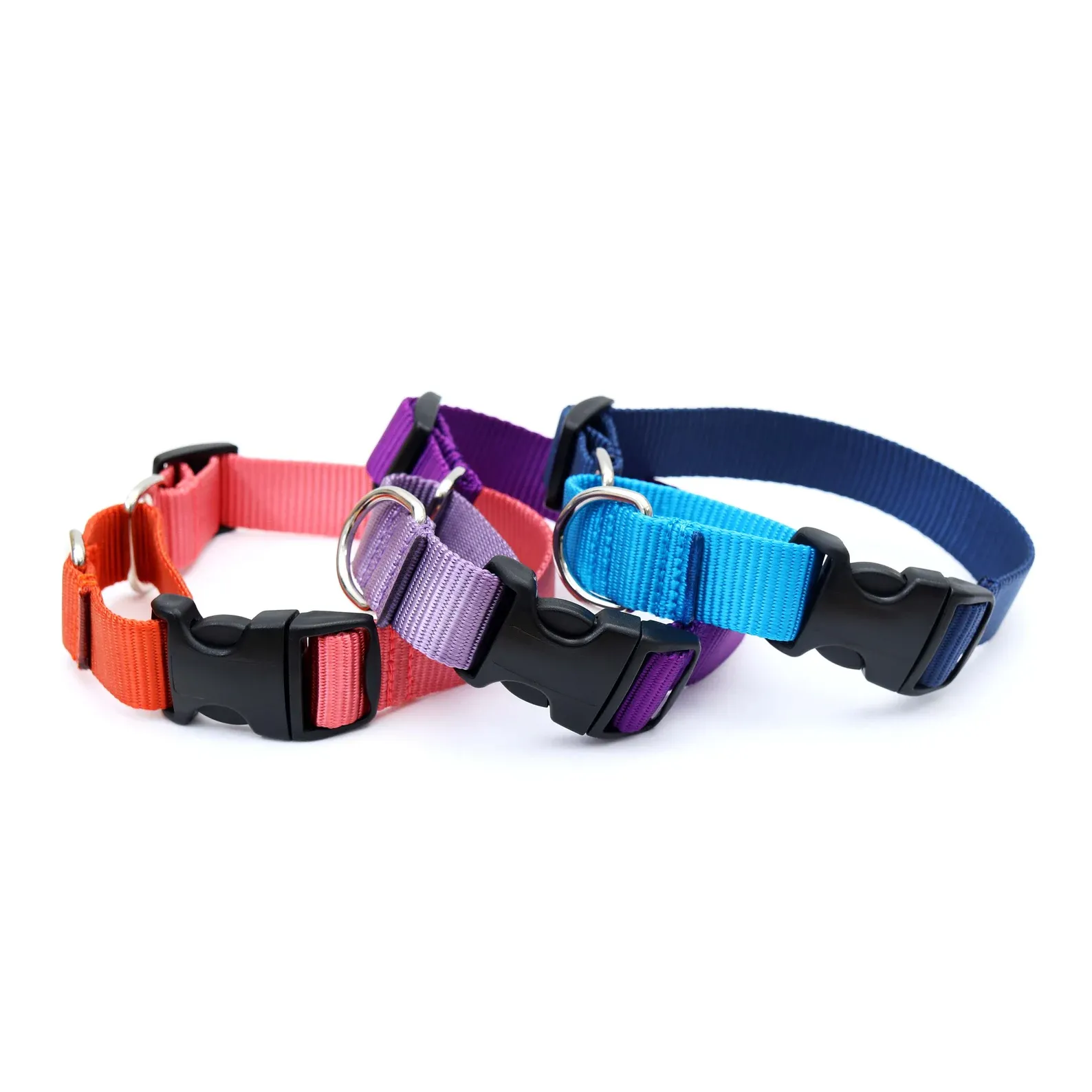 Dog Collars price in Nairobi Kenya3