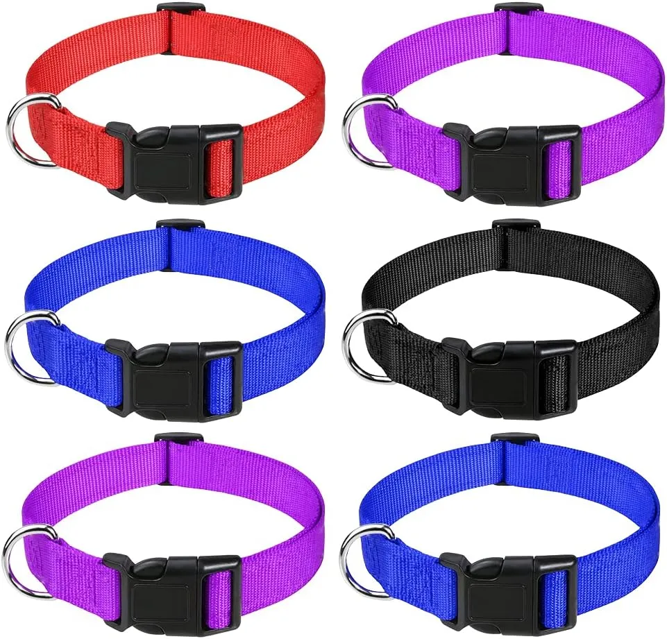 Dog Collars price in Nairobi Kenya6