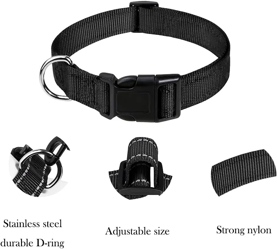 Dog Collars price in Nairobi Kenya7