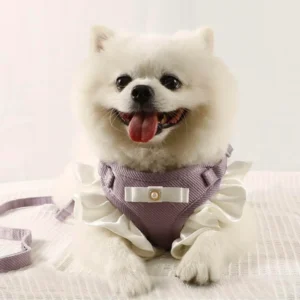 Fancy Harness for Cats & Puppies
