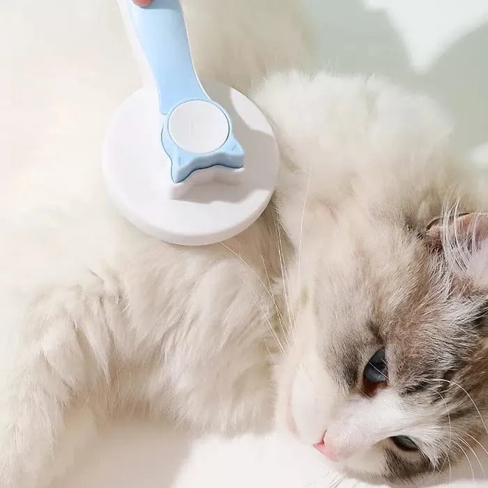 Grooming comb for Cats price in Nairobi Kenya 010