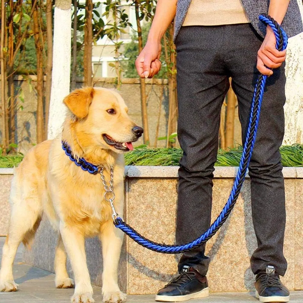 Heavy Duty Dog Leash and Collar