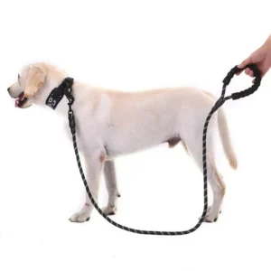 Heavy-Duty Dog Leash with Padded Handle & Reflective Threads