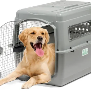 Heavy-Duty IATA-Approved Pet Carrier Cage