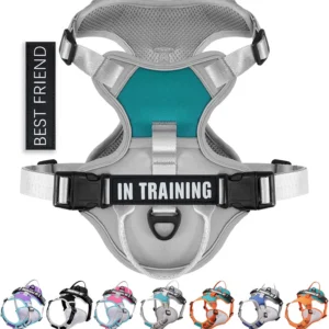 Heavy-Duty Padded No-Pull Dog Harness