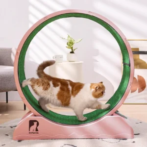 Indoor Cat Treadmill – Exercise Wheel for Cats