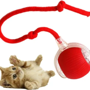 Interactive Rolling Ball for Dogs & Cats