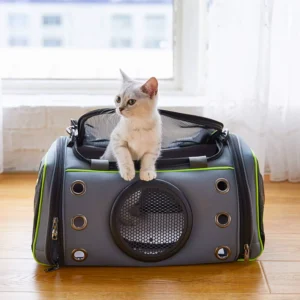 Pet Carrier Bag with Bubble Window – IATA Approved
