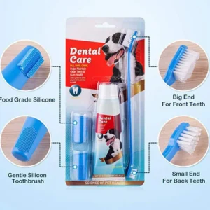 Pet Dental Kit – Silicone Toothbrush & Flavorful Toothpaste
