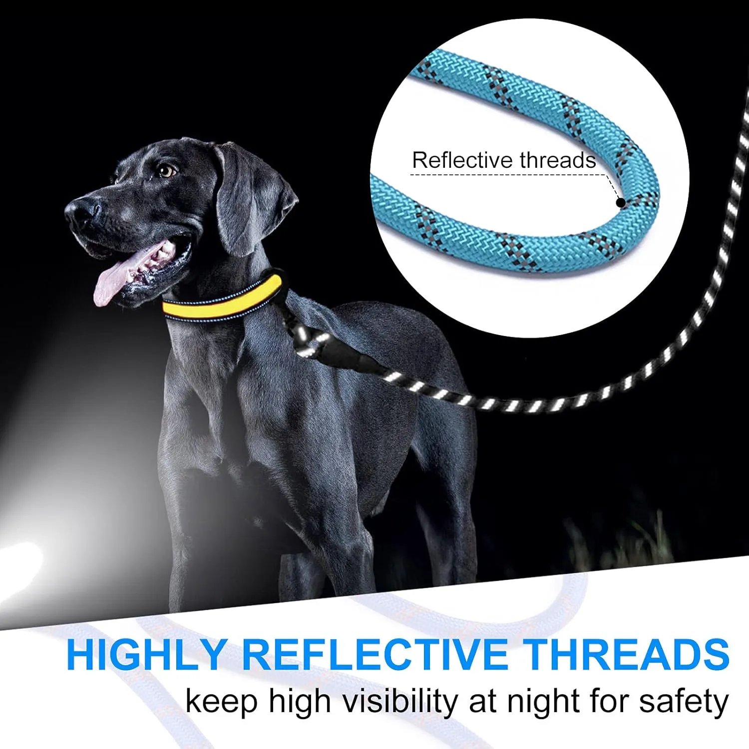 Reflective Dog Leash with Padded Handle Price in Nairobi Kenya 01