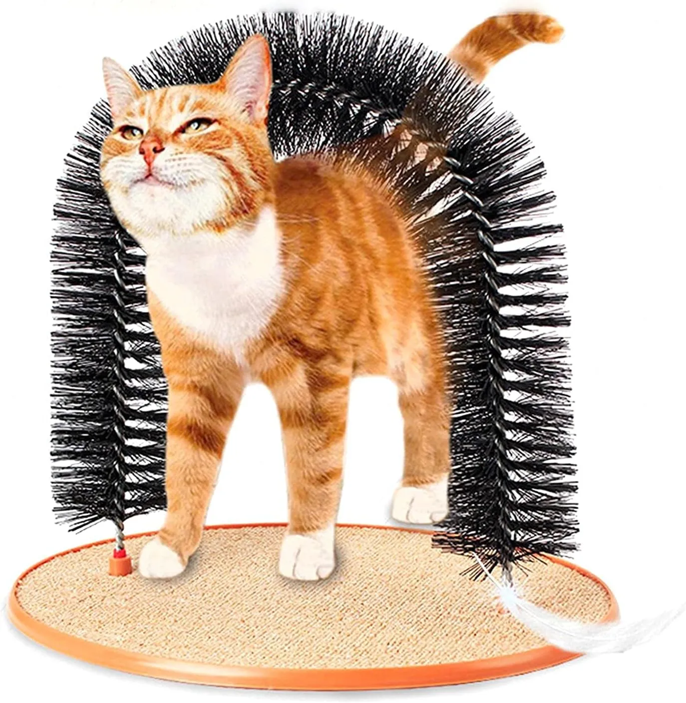Self Grooming Cat Brush