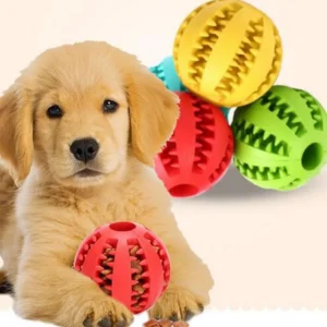 Silicone Dog Chewing Toy