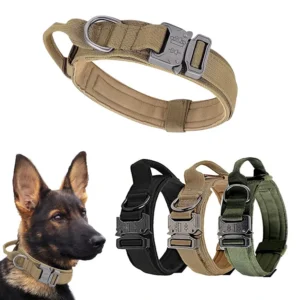 Tactical-Style Metal Buckle Dog Collar