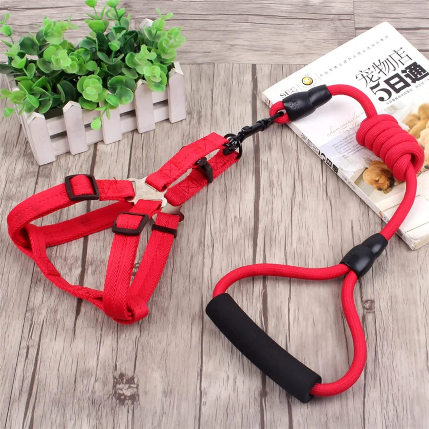 Underbelly harness and leash Set Price in Nairobi, Kenya 010