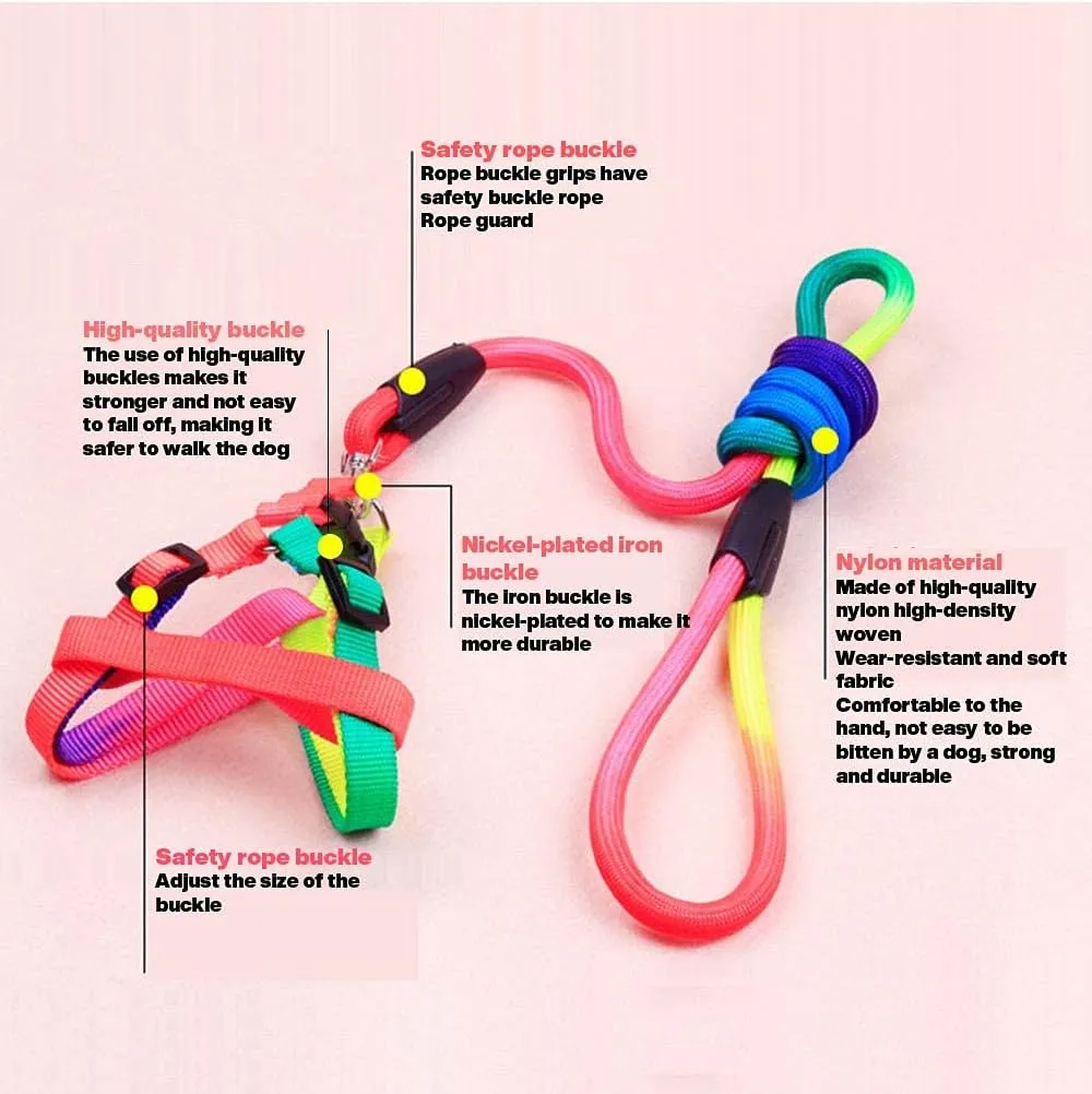 Underbelly harness and leash Set Price in Nairobi, Kenya 011