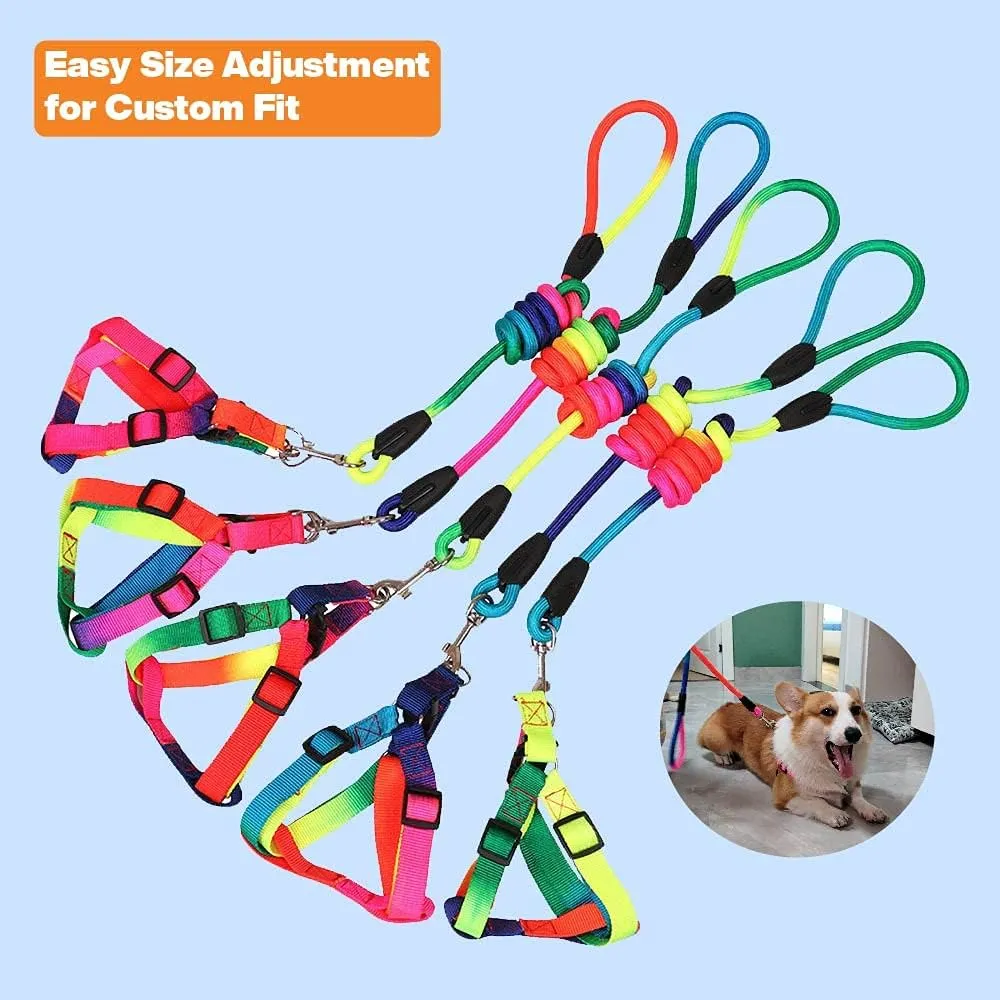 Underbelly harness and leash Set Price in Nairobi, Kenya 02
