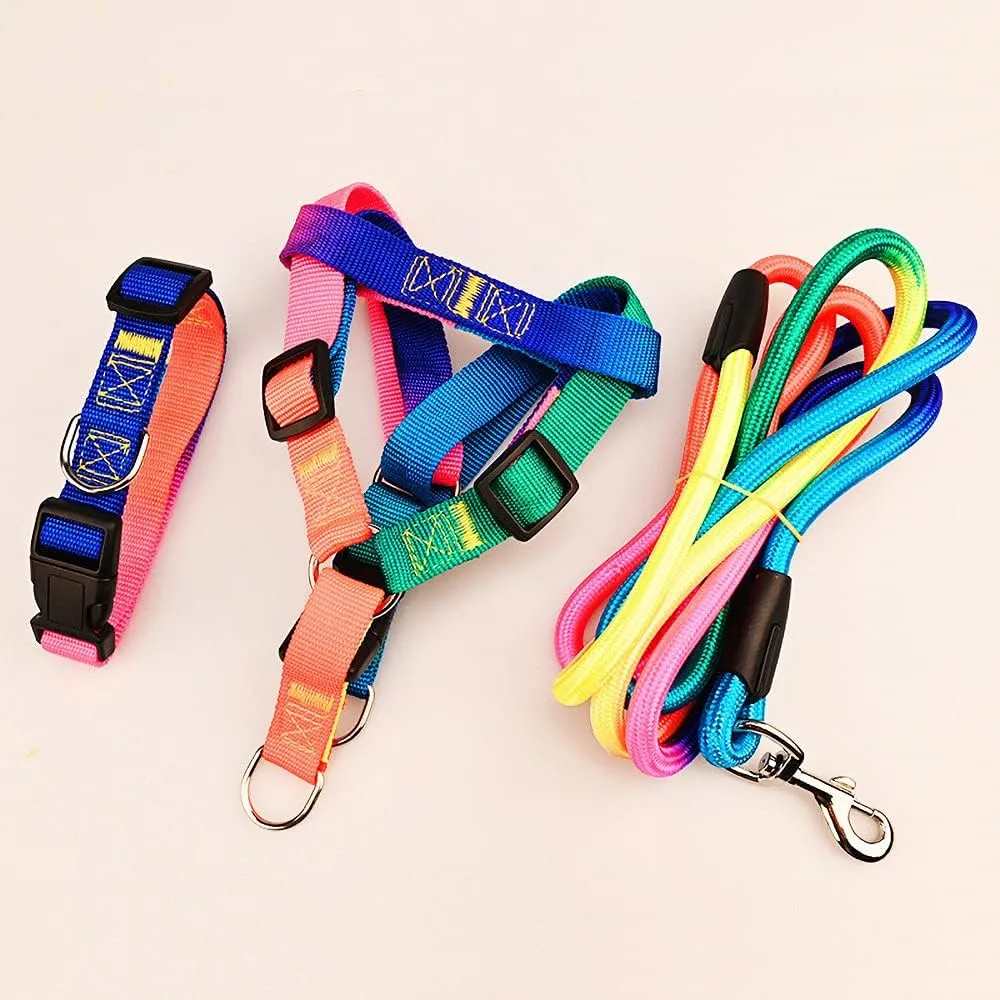 Underbelly harness and leash Set Price in Nairobi, Kenya 05
