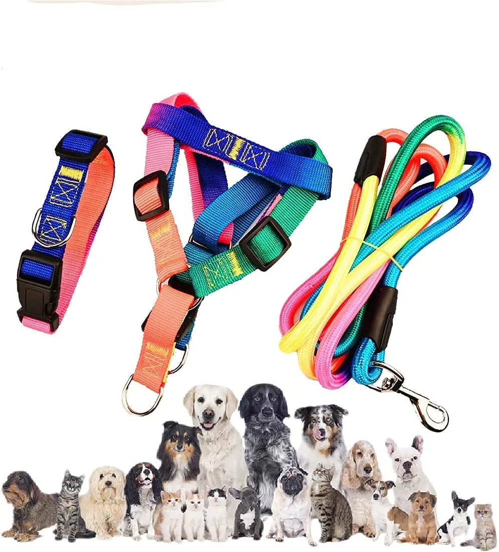 Underbelly harness and leash Set Price in Nairobi, Kenya 07