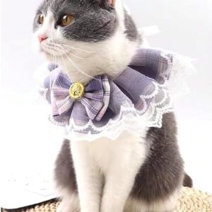 Bridgeton Cat Collars