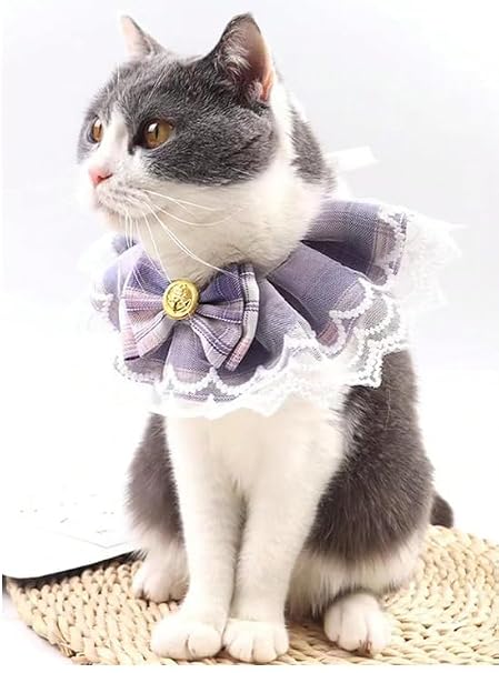 Bridgeton Cat Collars