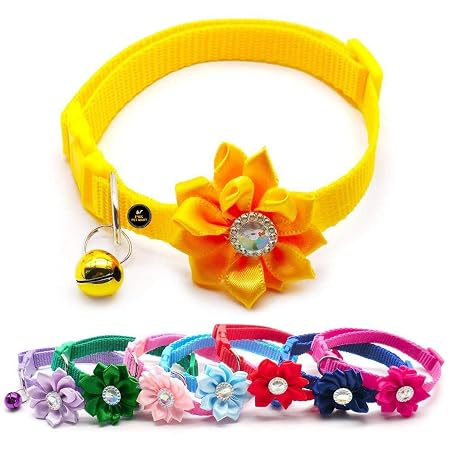 Floral Cat Collar