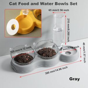 Cat Food and Water Bowls set