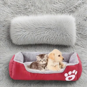 Puppy Beds