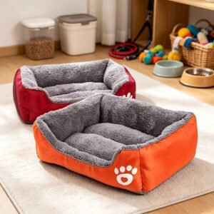 Kitten Beds
