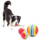 Rainbow-Rubber-Ball-Toy-for-Dogs-and-Cats-in-Kenya-150x150