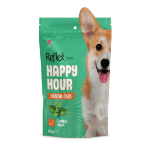 Reflex Plus Happy Hour Dental Care Dog Treats – Lamb & Mint, 60g